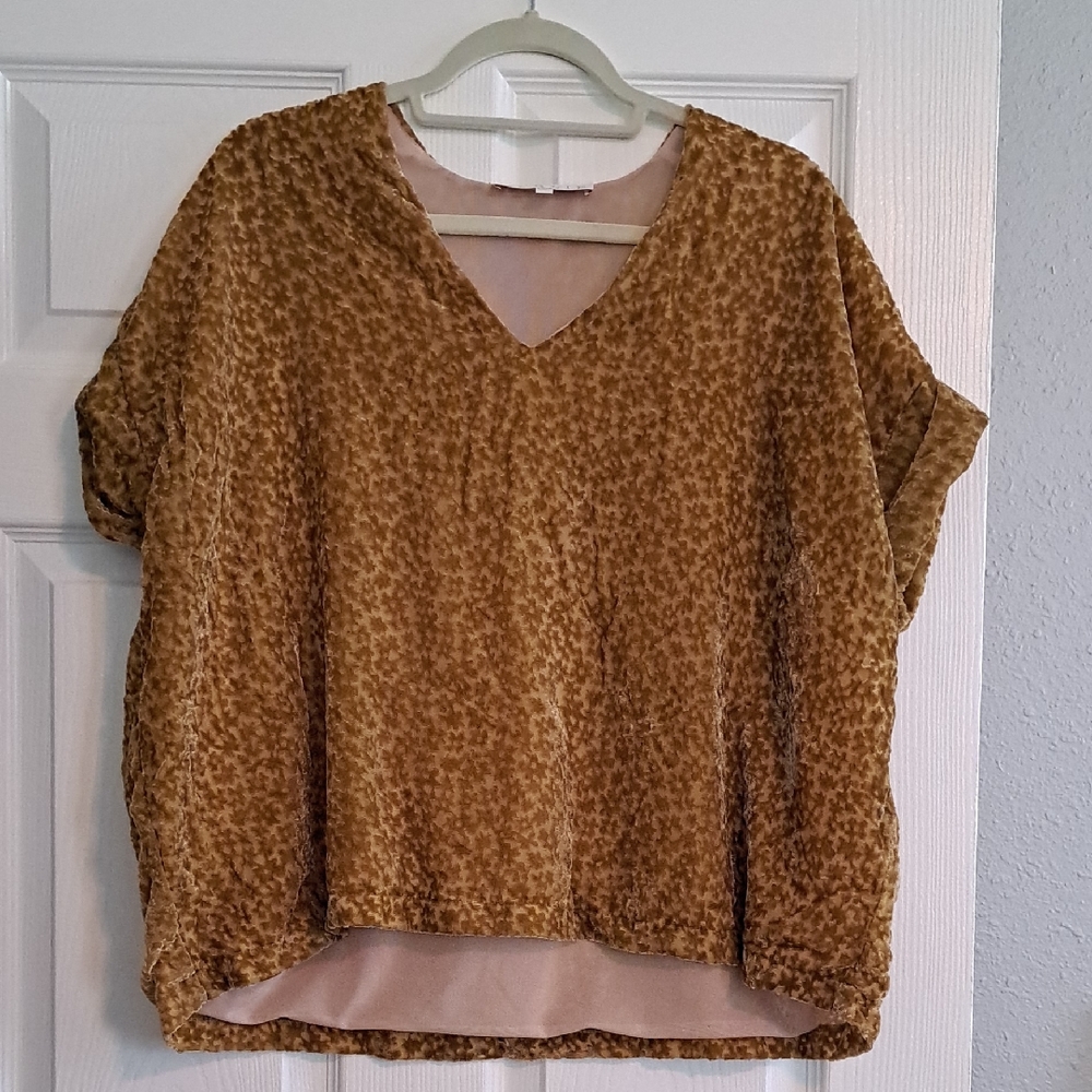 Velvet Top 10/21
